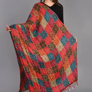 Cotton Blend Embroidered Black Women Dupatta1